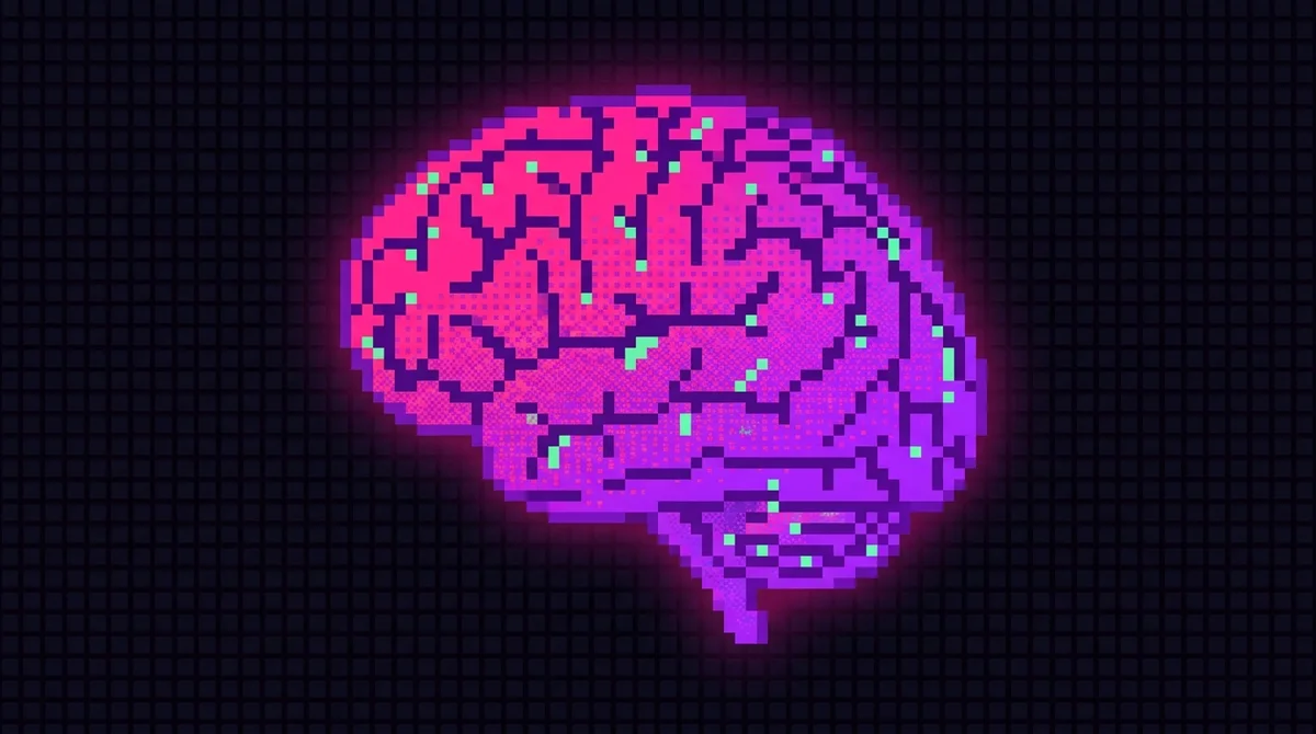 Callosium neural map